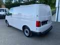 Volkswagen T6 Transporter Kasten,REGALE,LED,Pickerl+Service Neu,Mwst.Auswei. Weiß - thumbnail 7