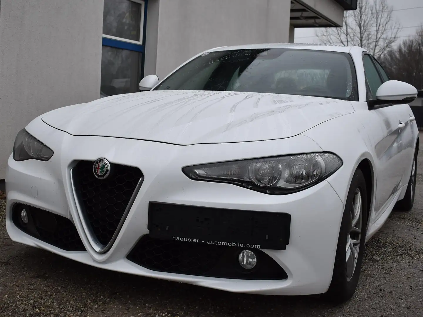 Alfa Romeo Giulia Basis Weiß - 1