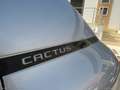 Citroen C4 Cactus BlueHDi 100 S&S Feel Edition Grigio - thumbnail 10