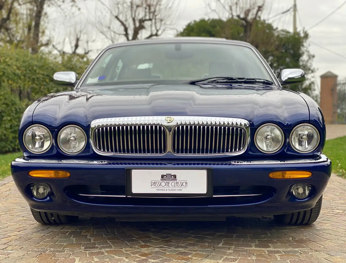 Daimler Super V8 LWB (aggiornamento kit tendicatena) Bleu - 2