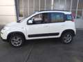 Fiat Panda Panda 0.9 t.air turbo 4x4 85cv E6 Bianco - thumbnail 15