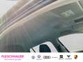 Skoda Octavia Combi First Edition TDI DPF EU6d-T OCT.COM STY TD8 Schwarz - thumbnail 16