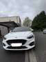 Ford Focus 1,5 EcoBlue ST-Line Business - thumbnail 5