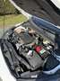 Ford Focus 1,5 EcoBlue ST-Line Business - thumbnail 12