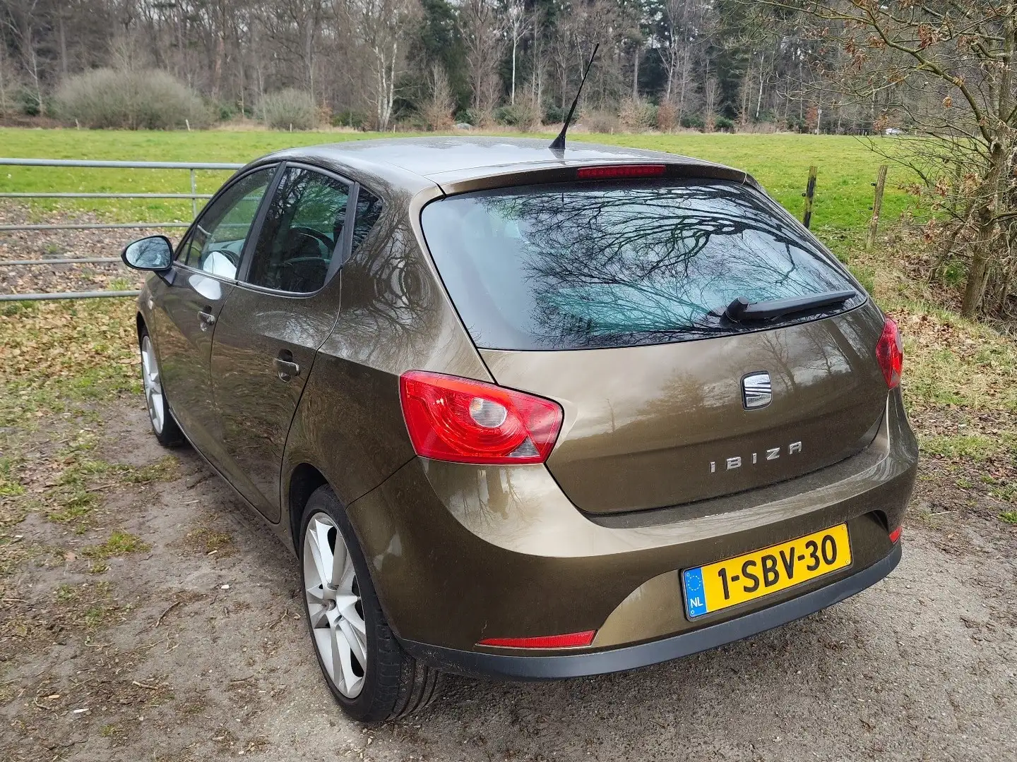 SEAT Ibiza 1.2 TSI Sport Braun - 2