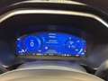 Ford Kuga Plug-In Hybrid Titanium Weiß - thumbnail 9