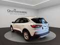 Ford Kuga Plug-In Hybrid Titanium Weiß - thumbnail 3