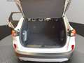Ford Kuga Plug-In Hybrid Titanium Weiß - thumbnail 14