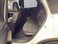 Ford Kuga Plug-In Hybrid Titanium Weiß - thumbnail 13