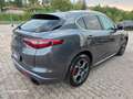 Alfa Romeo Stelvio Stelvio 2.2 210 CV Q4 valuto usato/scambio Grigio - thumbnail 2