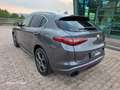Alfa Romeo Stelvio Stelvio 2.2 210 CV Q4 valuto usato/scambio Grigio - thumbnail 7