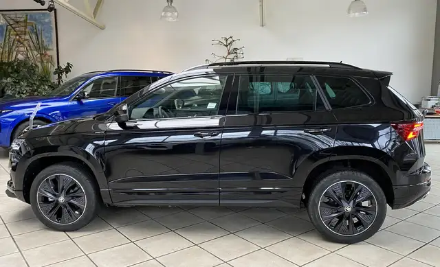 Skoda Karoq view 6