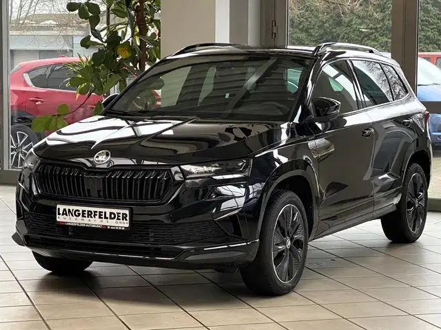 Skoda Karoq view 7