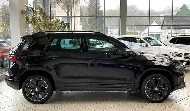 Skoda Karoq view 2