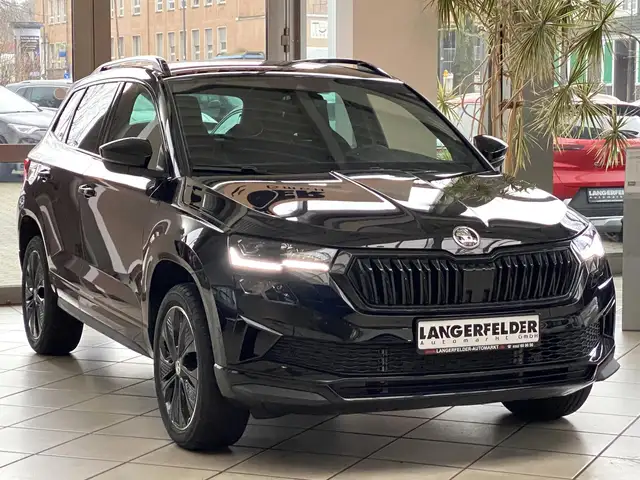 Skoda Karoq view 10