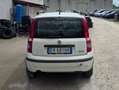 Fiat Panda Panda 2012 1.4 natural power Dynamic Alb - thumbnail 4