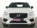 Volvo XC60 T8 AWD R Design SENSUS|Navi|CarPlay|LED Weiß - thumbnail 3