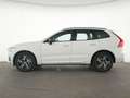 Volvo XC60 T8 AWD R Design SENSUS|Navi|CarPlay|LED Weiß - thumbnail 9