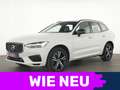 Volvo XC60 T8 AWD R Design SENSUS|Navi|CarPlay|LED Weiß - thumbnail 1