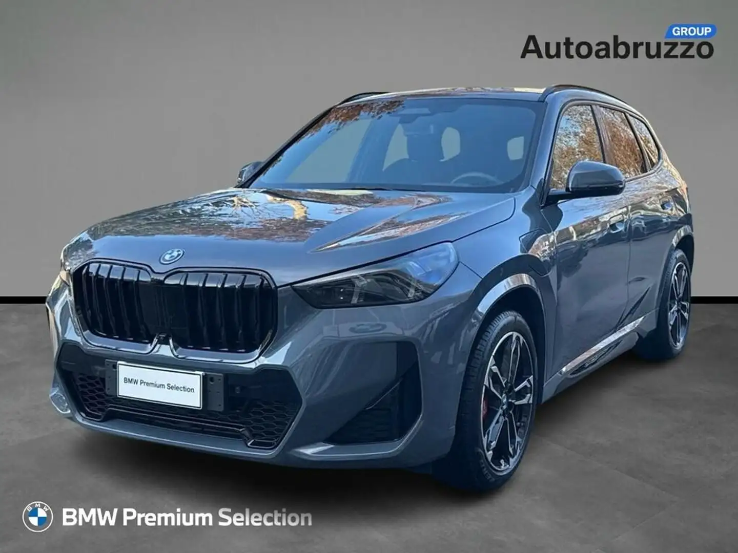 BMW X1 xdrive 25e MSport Pro auto - 1