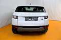 Land Rover Range Rover Evoque 2,0 D150 Aut. Weiß - thumbnail 22