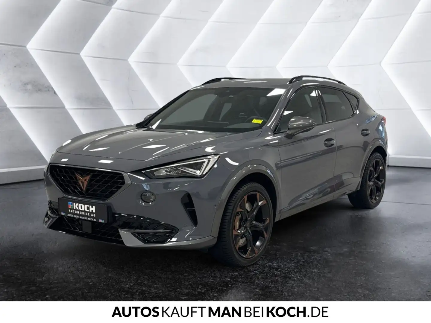 CUPRA Formentor 2.0 TSI DSG 4DRIVE BEATS BREMBO DCC Grau - 2