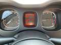 Fiat Panda FIREFLY HYBRID Kleinwagen Weiß - thumbnail 6