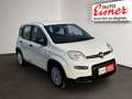 Fiat Panda FIREFLY HYBRID Kleinwagen Weiß - thumbnail 15