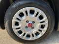 Fiat Panda FIREFLY HYBRID Kleinwagen Weiß - thumbnail 5