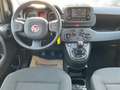 Fiat Panda FIREFLY HYBRID Kleinwagen Weiß - thumbnail 10