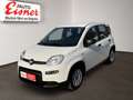Fiat Panda FIREFLY HYBRID Kleinwagen Weiß - thumbnail 3