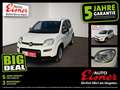 Fiat Panda FIREFLY HYBRID Kleinwagen Weiß - thumbnail 1