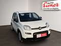 Fiat Panda FIREFLY HYBRID Kleinwagen Weiß - thumbnail 16