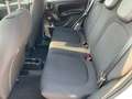 Fiat Panda FIREFLY HYBRID Kleinwagen Weiß - thumbnail 9