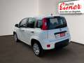 Fiat Panda FIREFLY HYBRID Kleinwagen Weiß - thumbnail 11