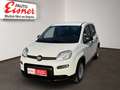 Fiat Panda FIREFLY HYBRID Kleinwagen Weiß - thumbnail 2
