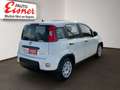 Fiat Panda FIREFLY HYBRID Kleinwagen Weiß - thumbnail 13