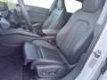 Audi A5 Avant TFSI quattro S tronic AHK*B&O*HUD*MATRIX*... Weiß - thumbnail 12