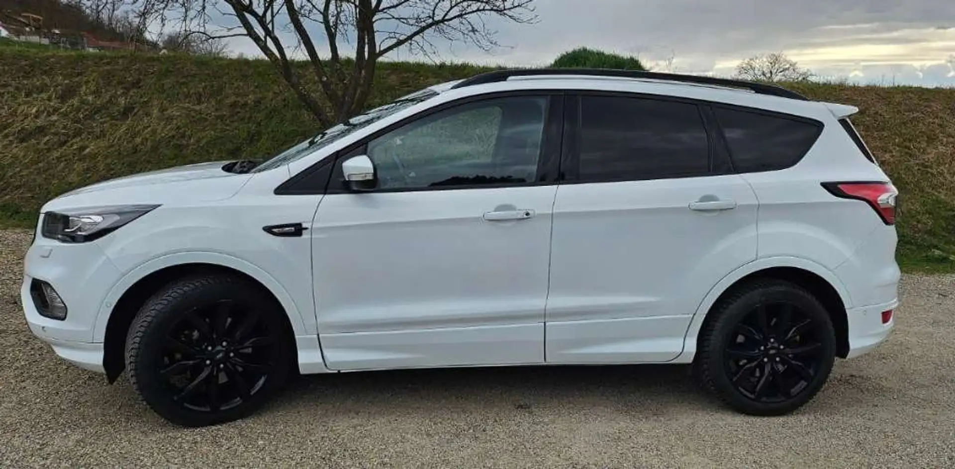 Ford Kuga Kuga 2,0 TDCi ST-Line Powershift Aut. ST-Line Weiß - 1