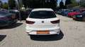 SEAT Leon Style Fast Lane Erstb. AHK §57a/Service NEU Weiß - thumbnail 5