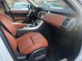 Land Rover Range Rover Sport HSE Dynamic Wit - thumbnail 10
