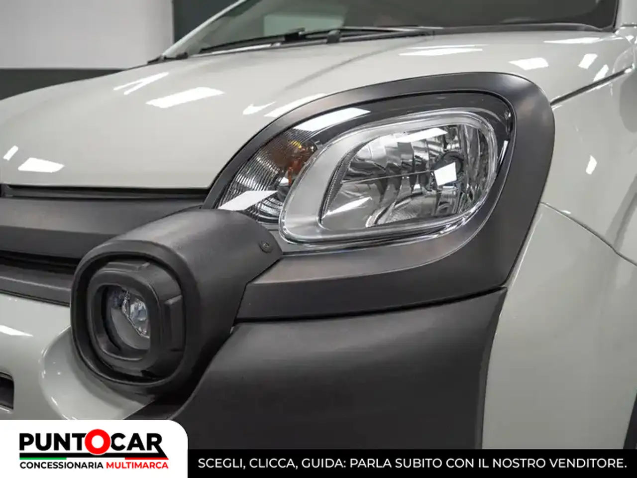 Fiat Panda Panda Cross 1.0 FireFly S&S Hybrid PROMO FLEX 12