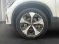 Volvo XC40 Plus Dark | 360GRAD | LEDER Blanc - thumbnail 9