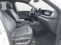 Volkswagen Tayron 1.5 TSI DSG eHybrid R-Line Blanco - thumbnail 13