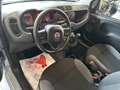 Fiat Panda Panda 1.2 Lounge Gris - thumbnail 7