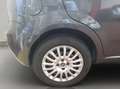Fiat Punto 1.3 MJT II 75 CV 5 porte Lounge Gris - thumbnail 18