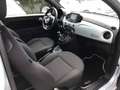 Fiat 500 MY23 1.0 70 PS Klima Radio Grün - thumbnail 6