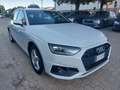 Audi A4 A4 V Avant 30 2.0 tdi mhev Business 136cv s-tronic Bianco - thumbnail 4