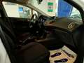 Ford Fiesta 5p 1.4 95cv Gpl PLUS Bianco - thumbnail 12
