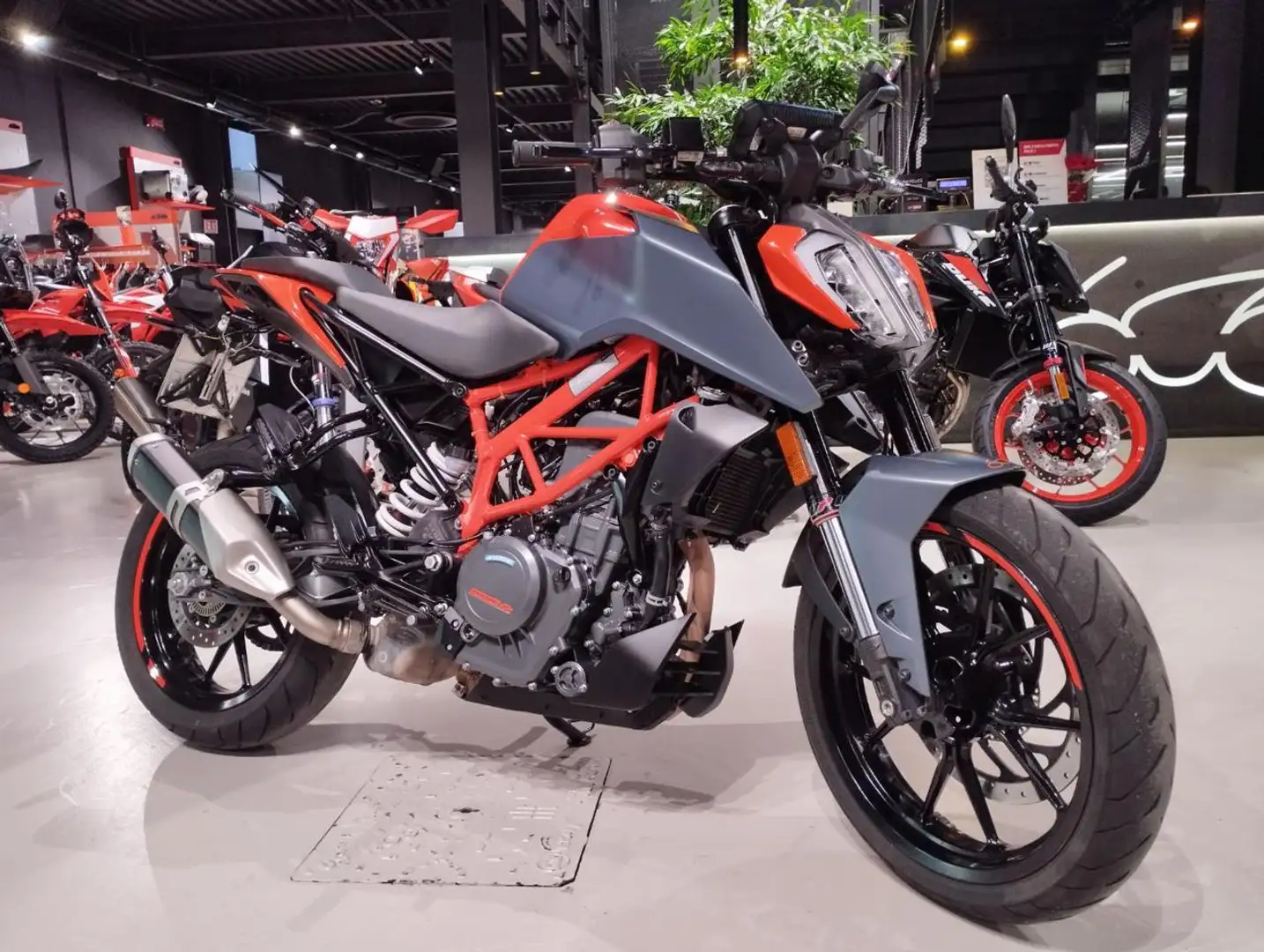 KTM 390 Duke DUKE 390 Arancione - 2